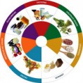 Alimentación Arcoiris